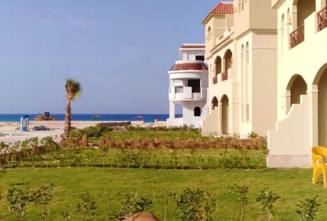 8403690 - صورة العقار 2