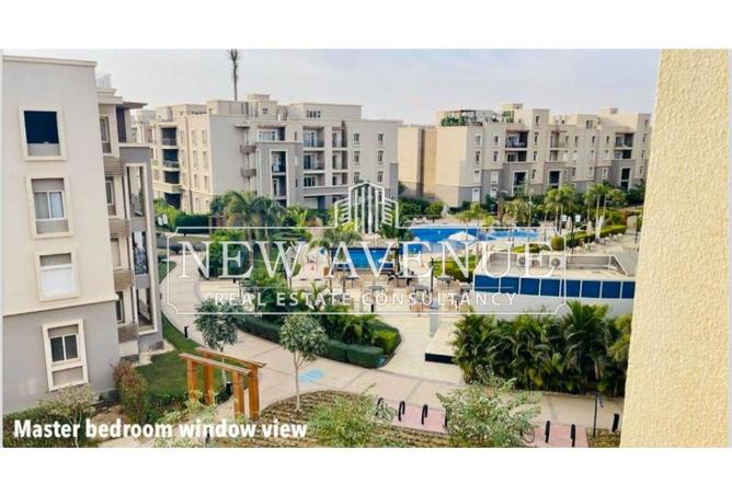 8404437 - Property Image 3