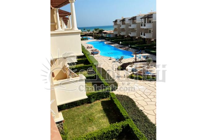 8084461 - Property Image 3