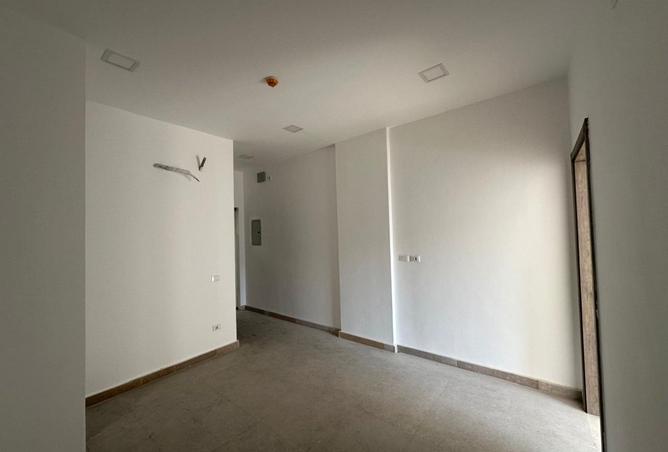 8442575 - Property Image 3