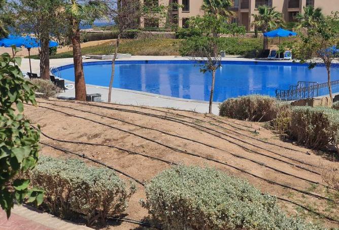 8416173 - Property Image 3