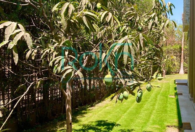 7887025 - صورة العقار 2