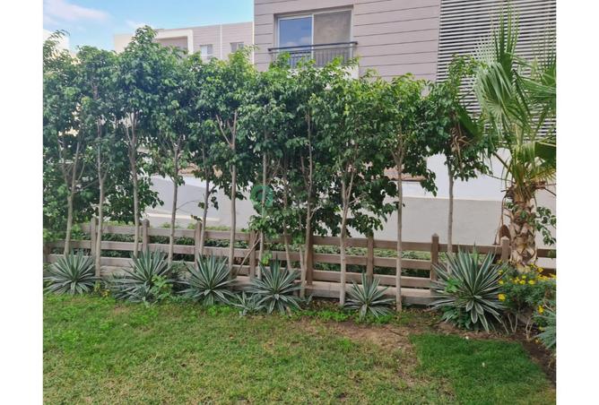 7977117 - Property Image 3