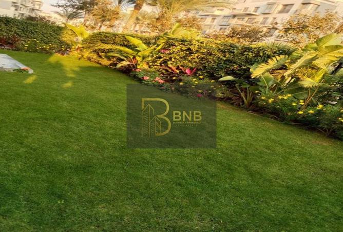 8036318 - Property Image 3