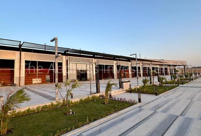 8383901 - Property Image 3