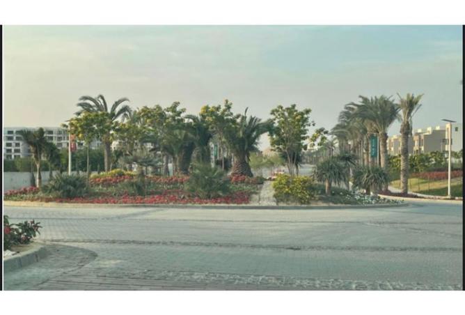 7969287 - صورة العقار 2