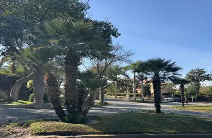 Townhouse - 5 Bedrooms - 5 Bathrooms for rent in Palm Hills October - Cairo Alexandria Desert Road - 6 October City - Giza