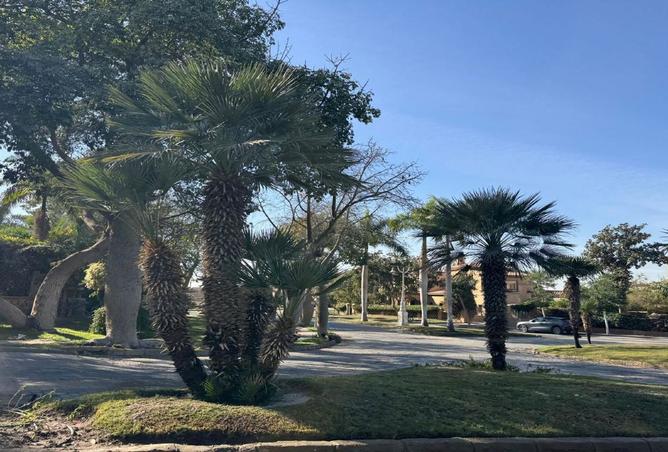 8455795 - الصورة الرئيسية للعقار