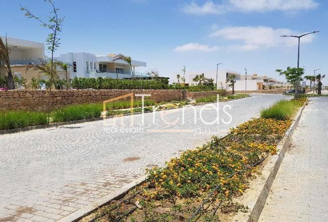 8393311 - Property Image 3