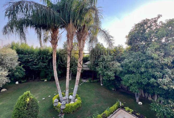 8176972 - Property Image 2