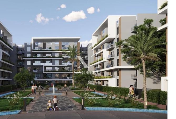 8466826 - Property Image 3