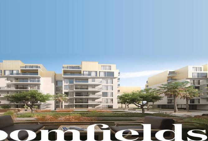 8090152 - Property Image 3
