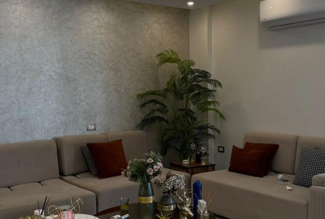 8175522 - Property Image 2