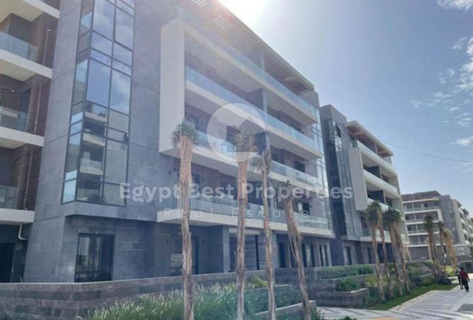 8369086 - Property Image 3