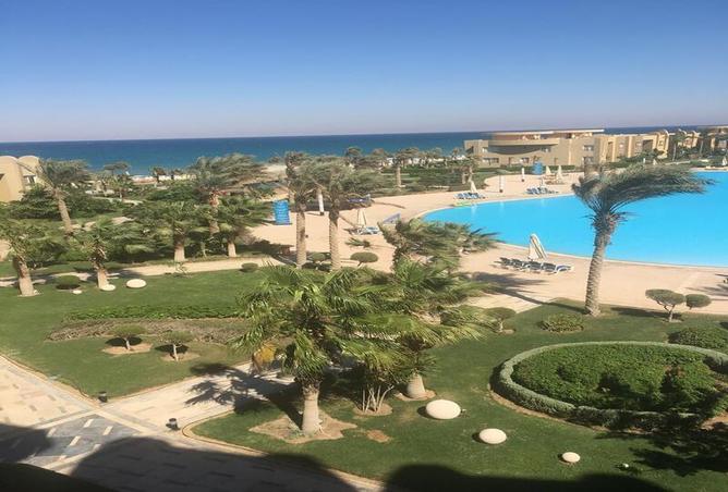7917134 - صورة العقار 2