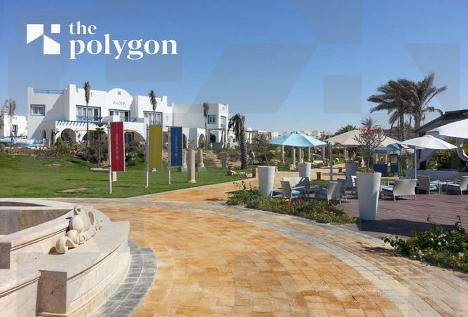 8188451 - Property Image 3