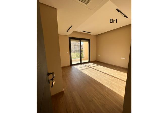 8136615 - Property Image 3