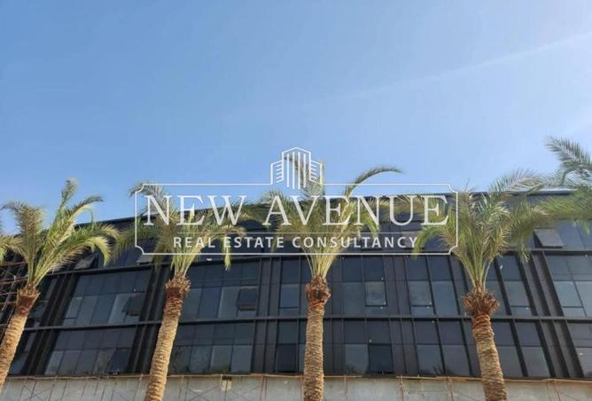 8139005 - صورة العقار 2