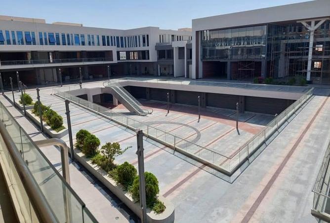 8413286 - Property Image 2