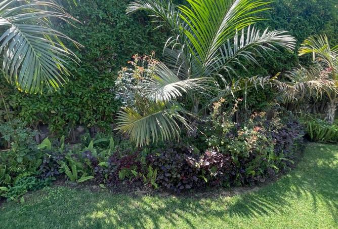 8090492 - Property Image 2