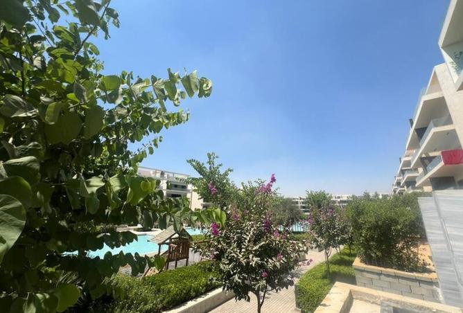 8485344 - Property Image 2