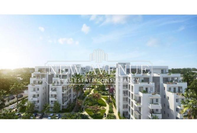 8245140 - صورة العقار 3