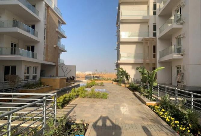 7937748 - Property Image 3