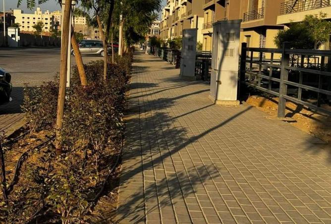 8122126 - صورة العقار 3