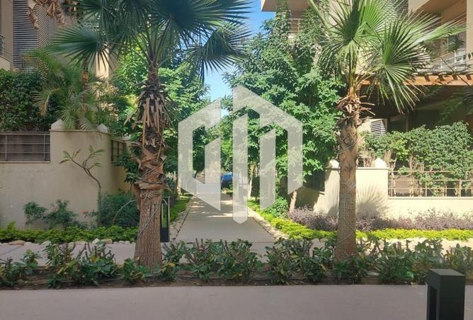 7912731 - صورة العقار 3