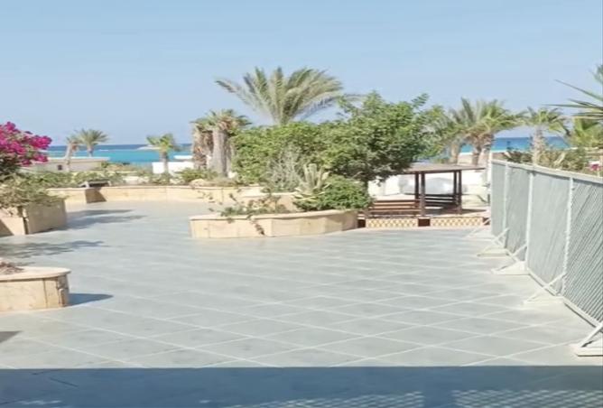 8369287 - صورة العقار 2