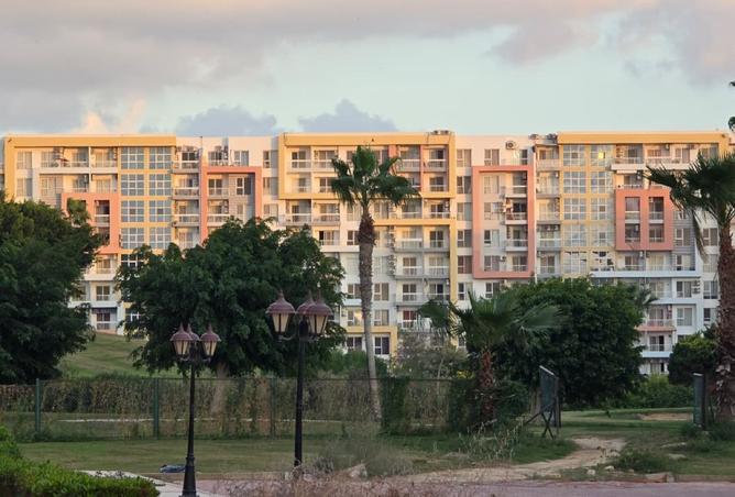 8445266 - صورة العقار 2