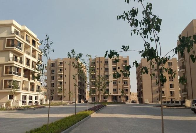 7966735 - صورة العقار 3