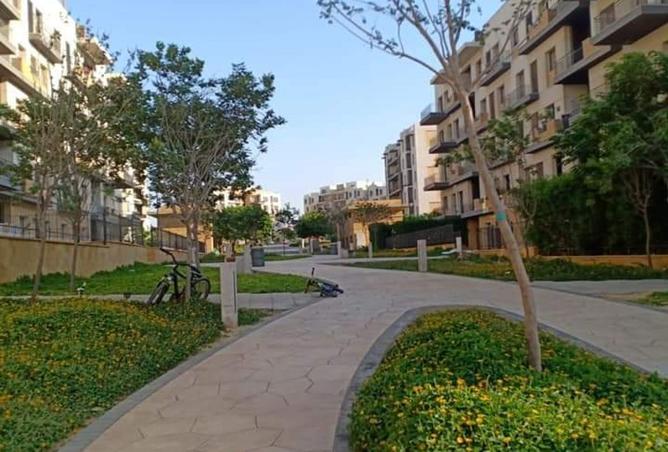 7940966 - صورة العقار 3