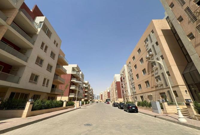 8229236 - Property Image 3