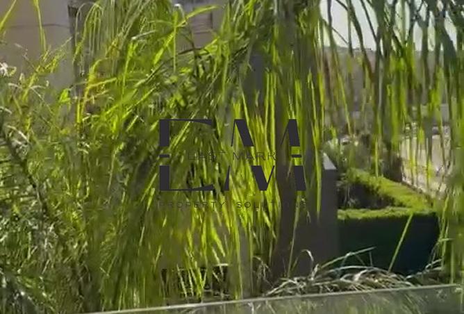 8206412 - صورة العقار 3