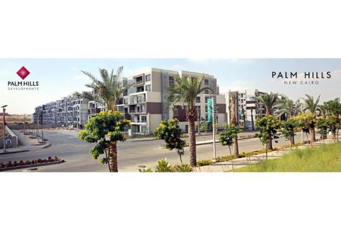 8393841 - صورة العقار 3