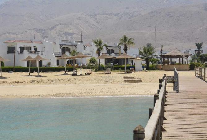 8422662 - Property Image 3