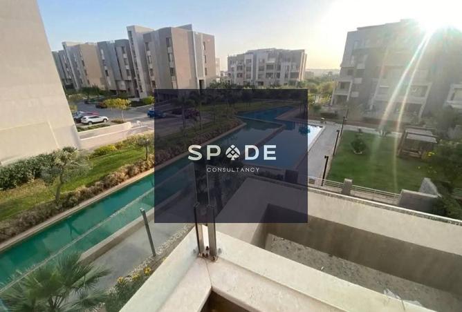 8376535 - Property Image 3