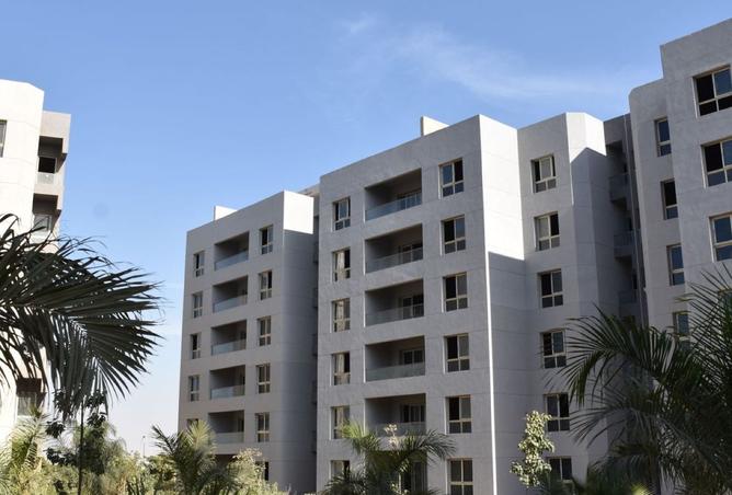 8331391 - صورة العقار 3