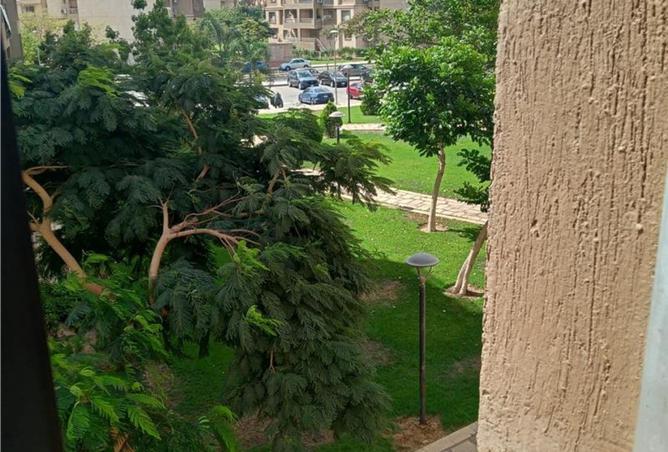 8037472 - الصورة الرئيسية للعقار