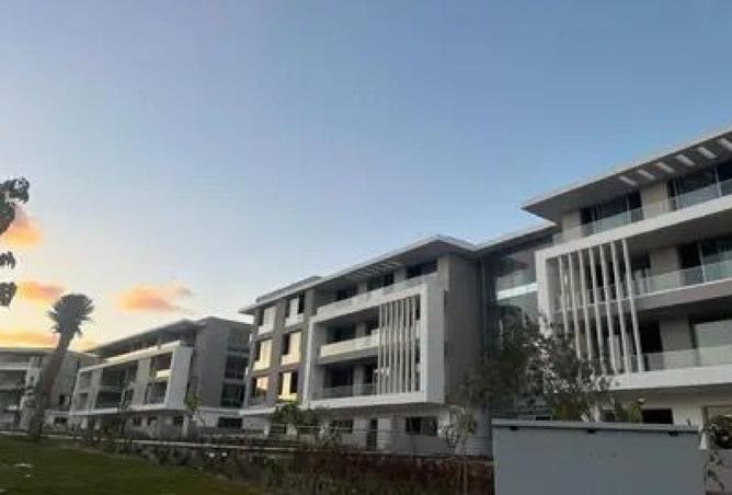 8040357 - Property Image 3