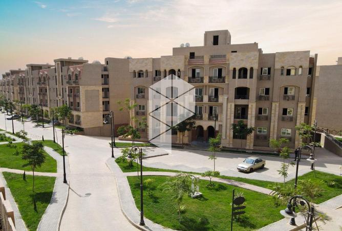 8407347 - Property Image 3