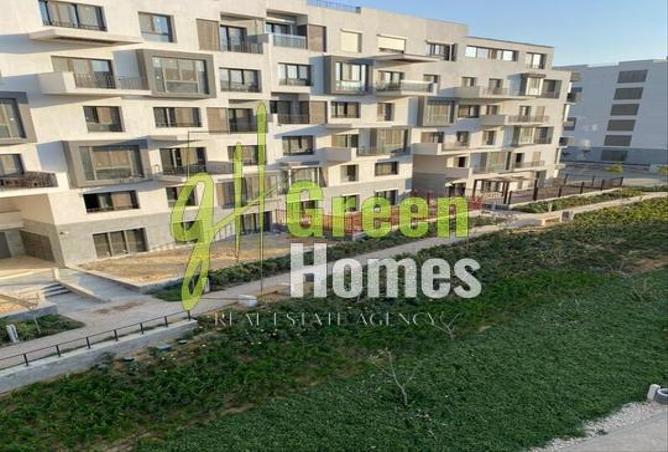 8239038 - صورة العقار 3