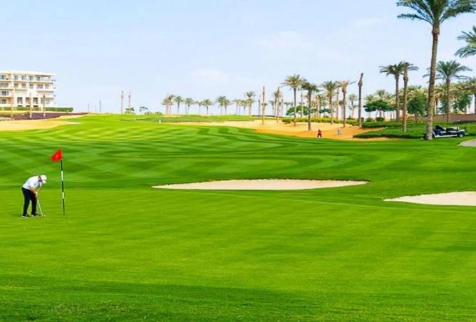 8297638 - Property Image 2