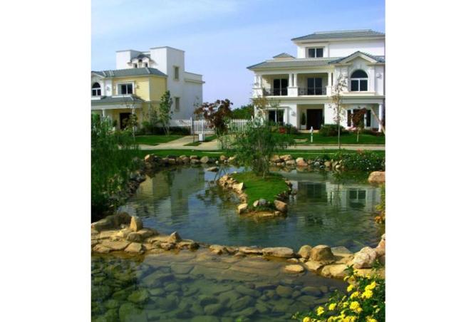 8065417 - Property Image 3