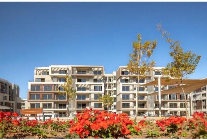 8290467 - Property Image 3