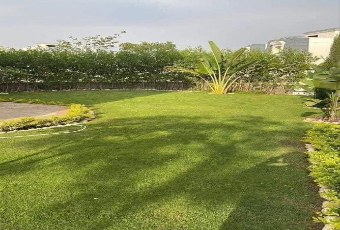 7950325 - صورة العقار 2