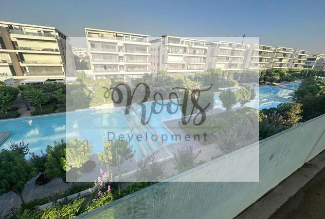 8078980 - Property Image 3