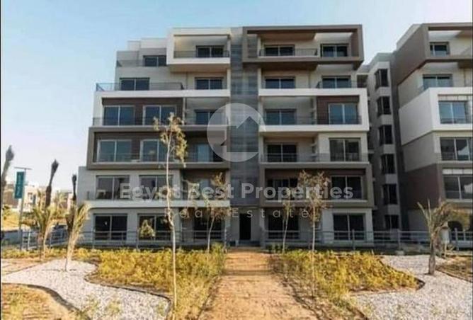 7998325 - Property Image 3