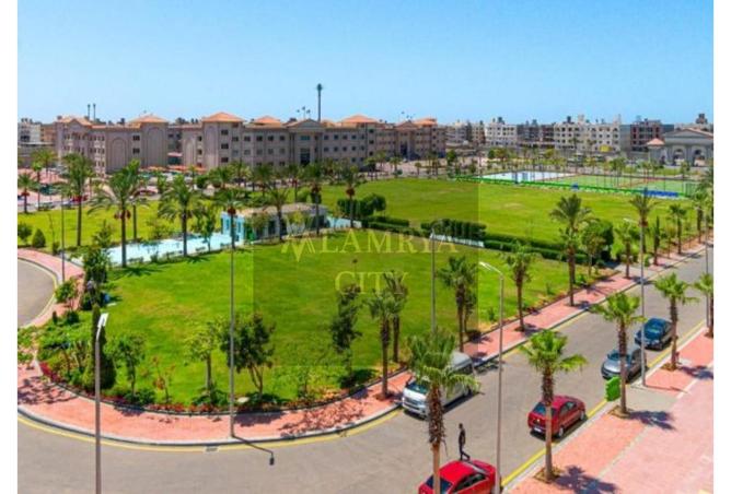 7982145 - صورة العقار 3